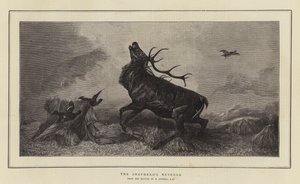 The Shepherd